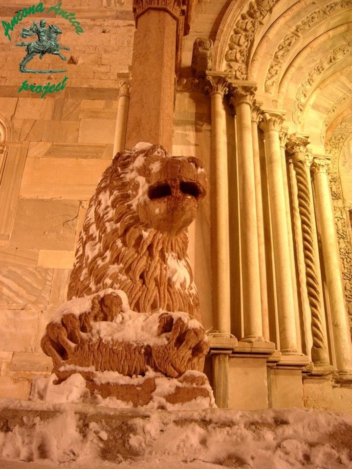 Leone Del Protiro Duecentesco Della Cattedrale Di San Ciriaco, Durante La Nevicata Di Febbraio 2012