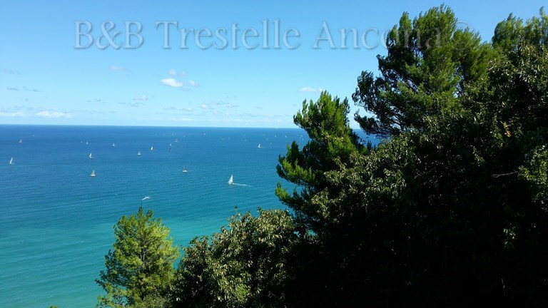 catalogo riviera del conero