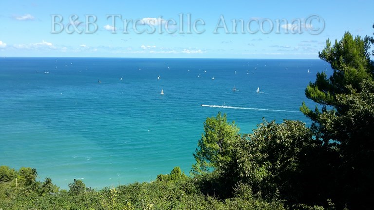 catalogo riviera del conero