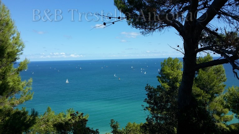 catalogo riviera del conero