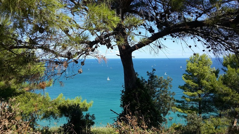 catalogo riviera del conero